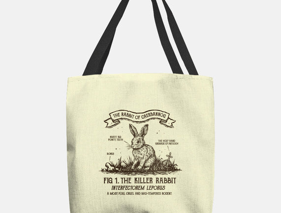 The Rabbit Of Caerbannog