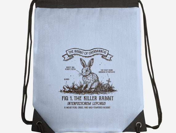 The Rabbit Of Caerbannog