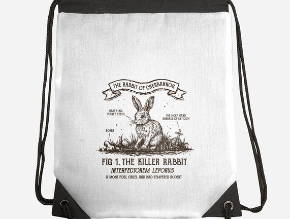 The Rabbit Of Caerbannog