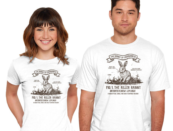 The Rabbit Of Caerbannog