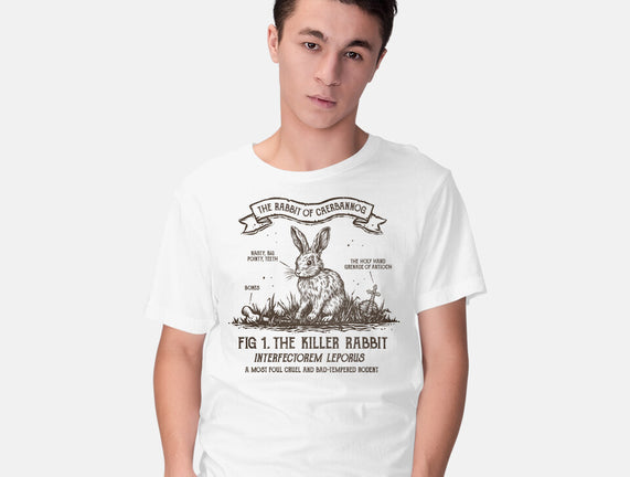 The Rabbit Of Caerbannog