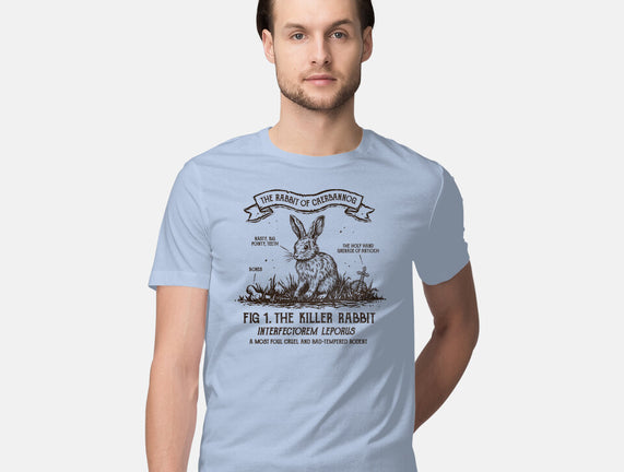 The Rabbit Of Caerbannog