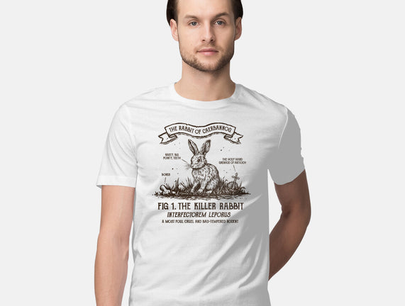 The Rabbit Of Caerbannog