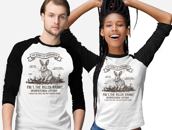 The Rabbit Of Caerbannog