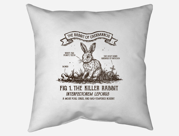 The Rabbit Of Caerbannog