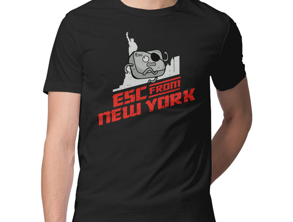 Esc From New York