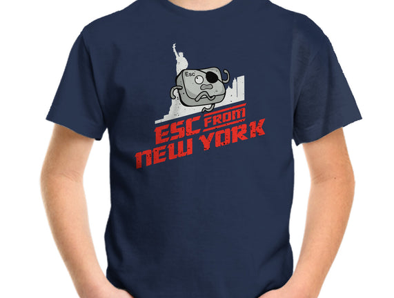 Esc From New York