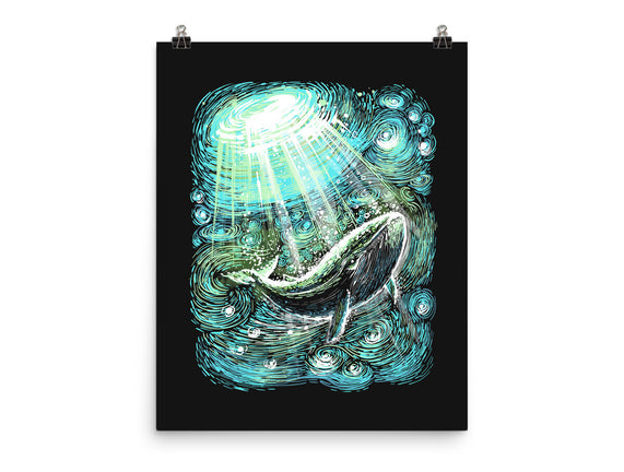 Starry Whale