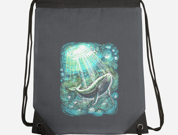 Starry Whale
