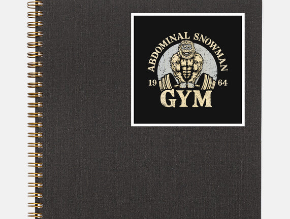 Abdominal Snowman Gym