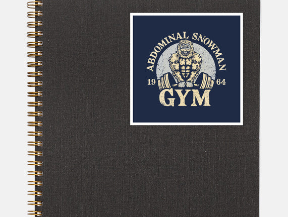 Abdominal Snowman Gym