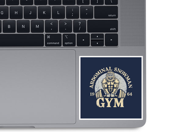 Abdominal Snowman Gym