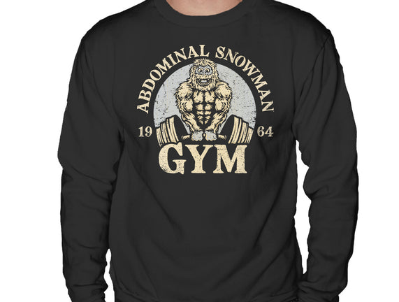 Abdominal Snowman Gym