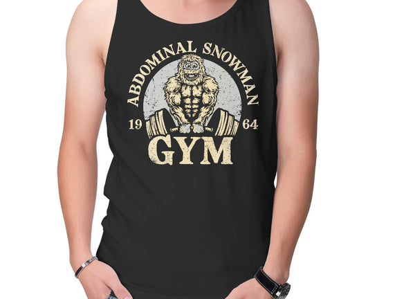 Abdominal Snowman Gym
