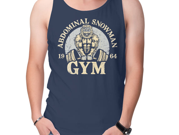 Abdominal Snowman Gym