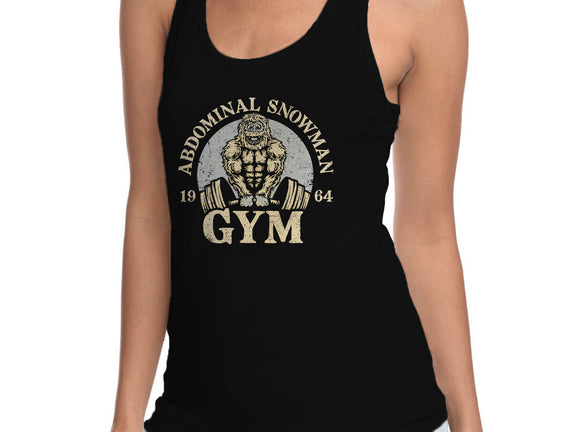 Abdominal Snowman Gym