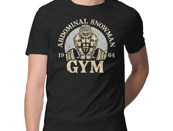 Abdominal Snowman Gym