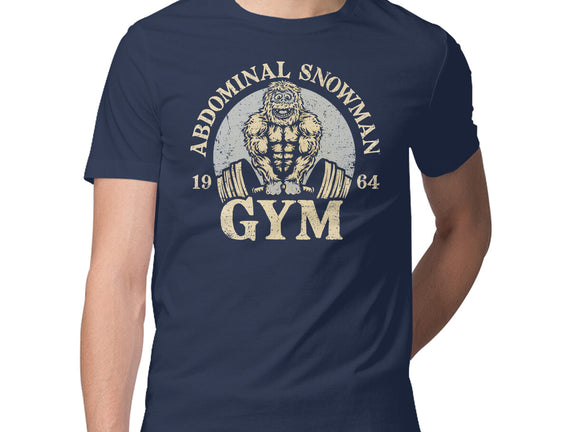 Abdominal Snowman Gym
