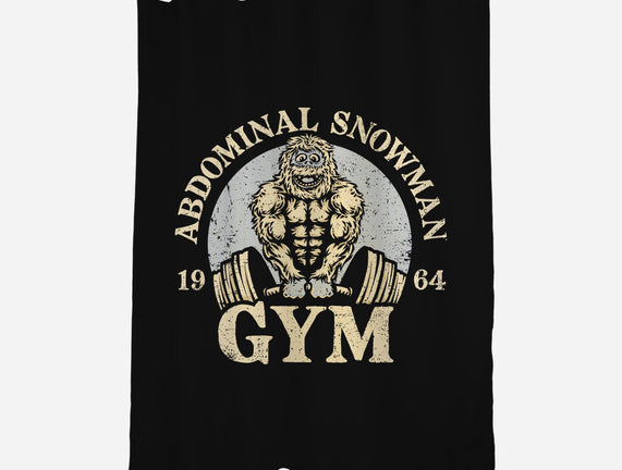 Abdominal Snowman Gym