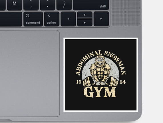 Abdominal Snowman Gym