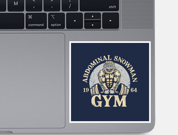 Abdominal Snowman Gym