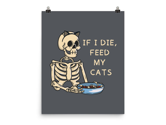 Feed My Cats