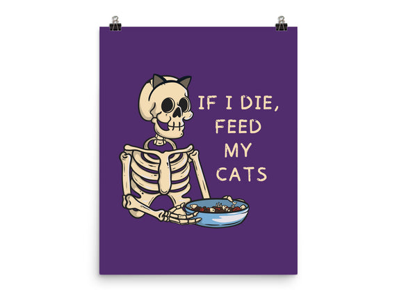 Feed My Cats