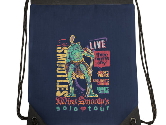 Miss Snooty's Solo Tour