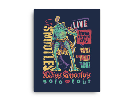 Miss Snooty's Solo Tour