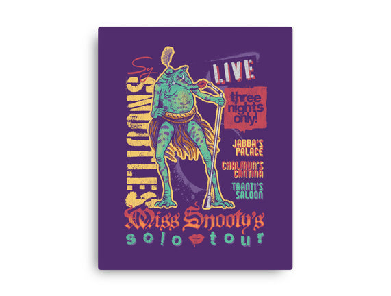Miss Snooty's Solo Tour