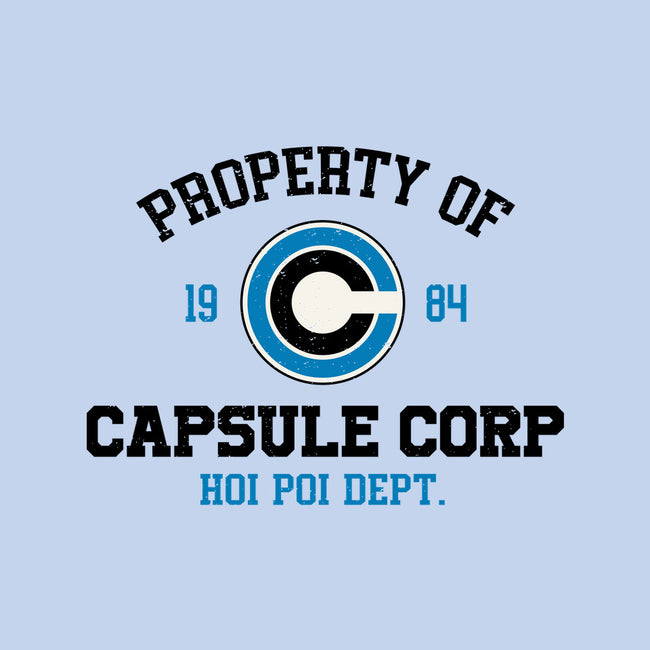 Property Of Capsule Corp-None-Stretched-Canvas-Melonseta