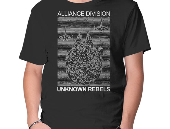 Alliance Division