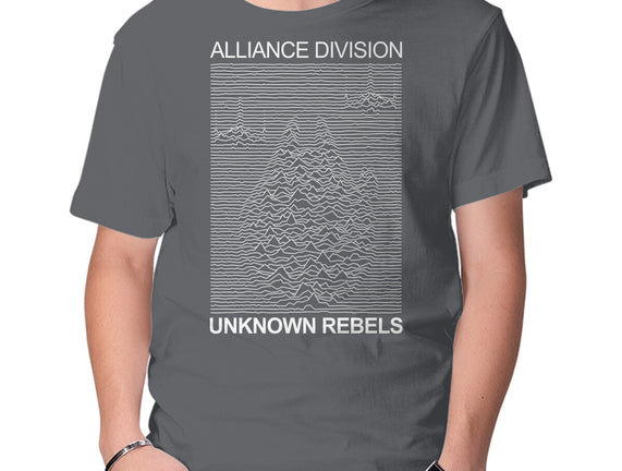 Alliance Division