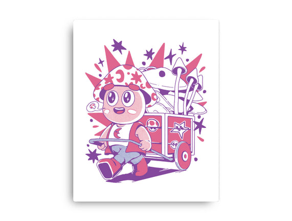 Mushroom Seller