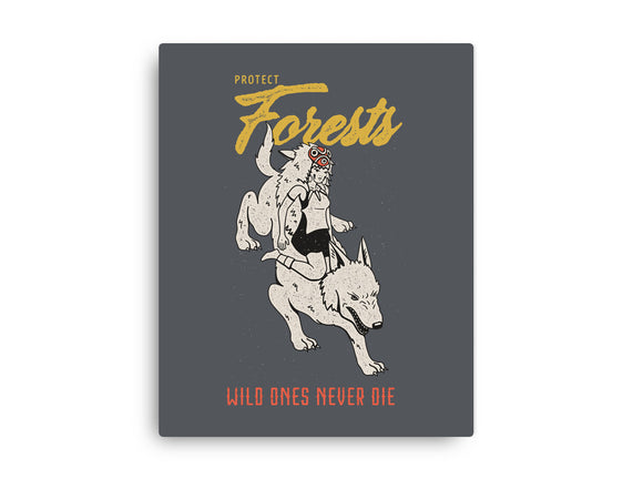 Protect Forests