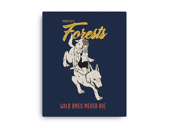 Protect Forests