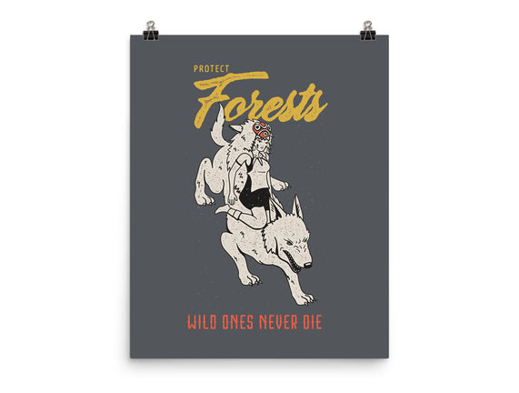 Protect Forests
