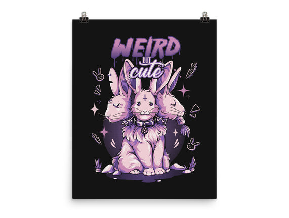 Weird But Cute Bunnies