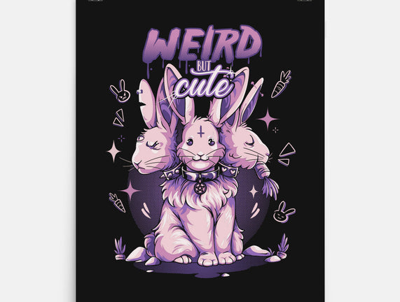 Weird But Cute Bunnies