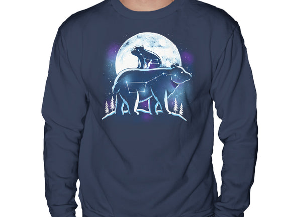 Ursa Constellation