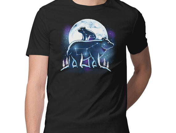 Ursa Constellation