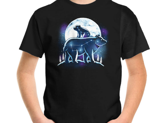 Ursa Constellation