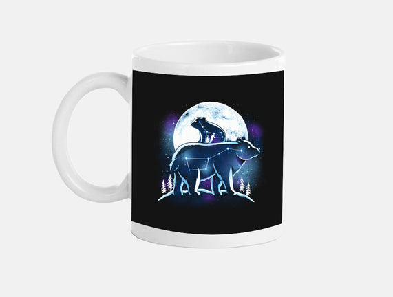 Ursa Constellation