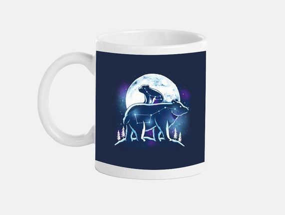 Ursa Constellation