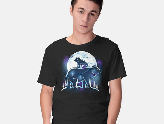 Ursa Constellation
