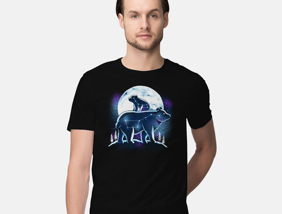 Ursa Constellation
