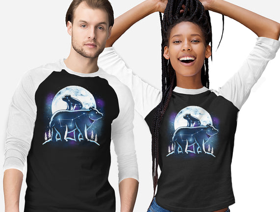 Ursa Constellation