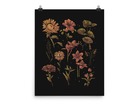 Twilight Botanica