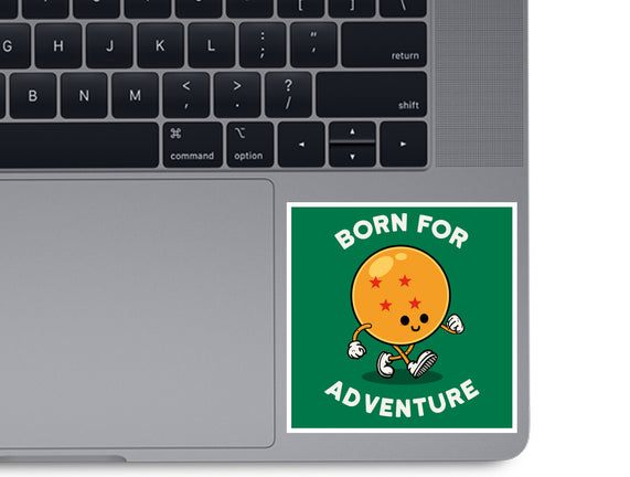 Born For Adventure