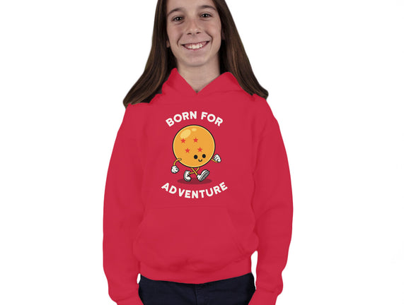 Born For Adventure